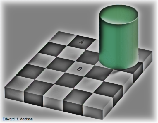 Parvo output for adelson checkerboard